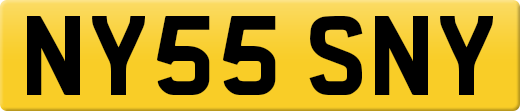 NY55SNY